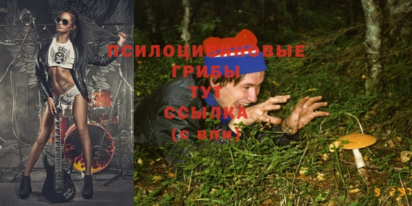 соль ск Нефтекумск