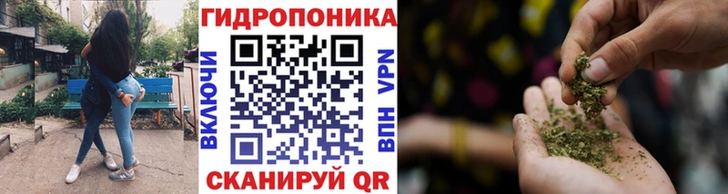 Конопля планчик  Омутнинск 